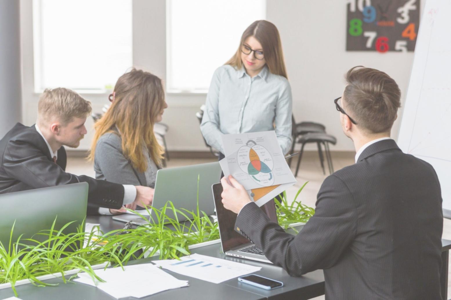 Professionelles Team von Grominde bei der Arbeit